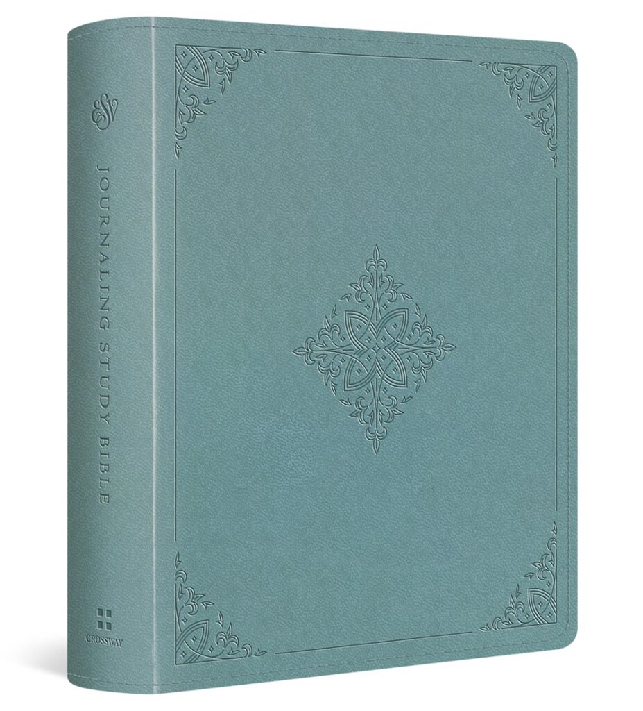 ESV Journaling Study Bible (TruTone over Board, Paris Sky, Fleur-de-lis Design)